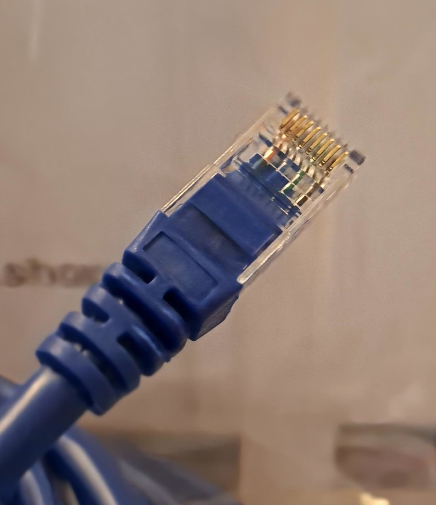 Xenta Cat 6 High-Performance RJ45 Ethernet Patch Cable – 2 Meter